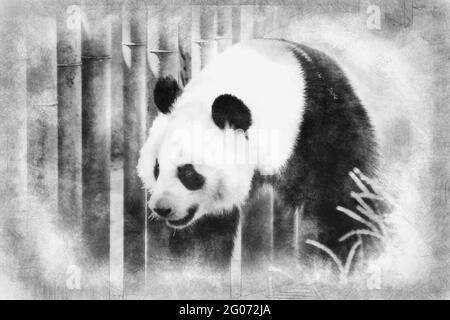 Bell'orso da panda riproduttore che gioca in un disegno di albero bianco e nero Foto Stock