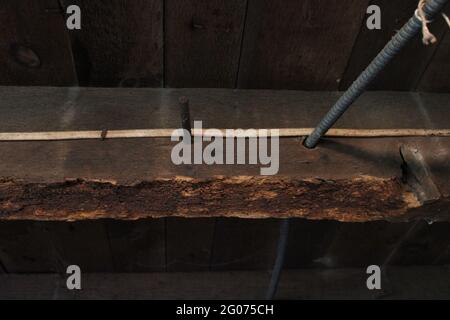 Un travetto da pavimento in legno danneggiato da coleotteri a polvere Foto Stock