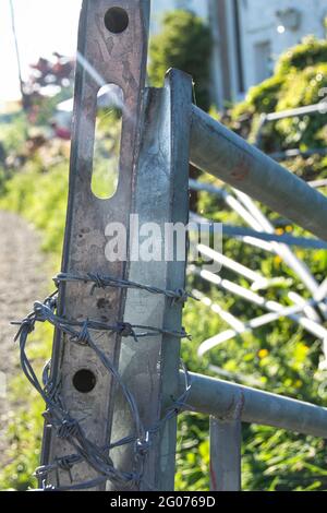 Filo spinato avvolto intorno ad un cancello di acciaio galvanizzato. Foto Stock