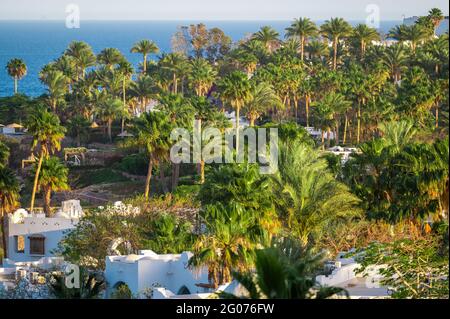 sfondo di una località tipica, palme, ville bianche per ospitare turisti e turisti. viaggio sfondo estivo. mare blu Foto Stock