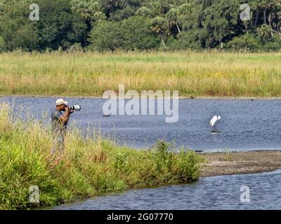 Fotografo che fotografa uccelli nel fiume Myakka nel Myakka River state Park a Sarasota, Florida USA Foto Stock