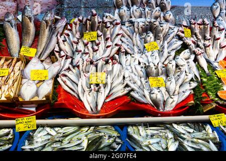 Pesce fresco e frutti di mare in vetrina mercato a Istanbul Foto Stock