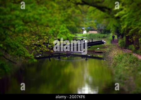 Un cancello di serratura si riflette nelle acque perfettamente fisse del canale di Basingstoke vicino Brookwood in Surrey Foto Stock