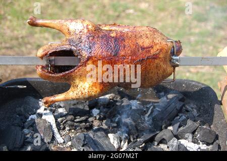 Appetitosa anatra alla griglia sullo spiedino. Arrosto su barbecue tradizionale. Anatra di carcassa intera che arrostisce su carboni caldi. Foto Stock