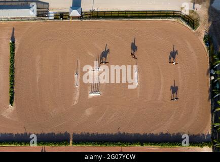 Wellington, Florida, Stati Uniti. 27 Marzo 2020. Cavalli e cavalieri mantengono la loro distanza mentre si riscaldano al Palm Beach Equestrian Center a Wellington. Le ultime due settimane del Winter Equestrian Festival e del Adequan Global Dressage Festival sono state annullate a causa di restrizioni durante la pandemia di coronavirus in corso. Credit: Greg Lovett/Palm Beach Post/ZUMA Wire/Alamy Live News Foto Stock