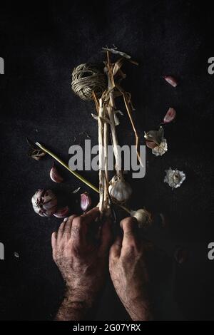 Da sopra le mani unriconoscibile della persona ritagliata che arrangiano bouquet di fresco spicchi d'aglio viola su sfondo scuro Foto Stock