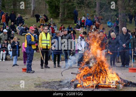 Persone intorno al falò pasquale sull'isola di Seurasaari a Helsinki, Finlandia Foto Stock