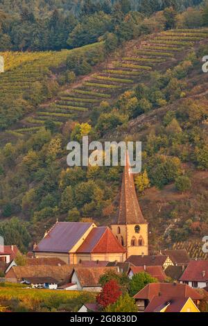 FRANCE, HAUT-RHIN (68), NIEDERMORSCHWIHR, ST. CHIESA DI GALL CON IL SUO CAMPANILE RITORTO Foto Stock