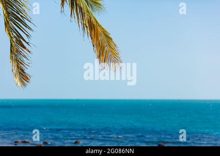 Splendida vista sull'oceano calmo con cielo blu chiaro Foto Stock