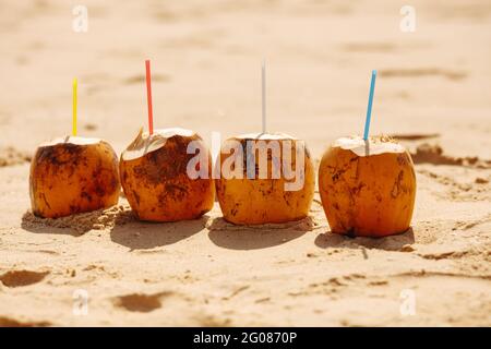 Quattro cocco giallo con cannucce colorate sulla spiaggia di sabbia Foto Stock