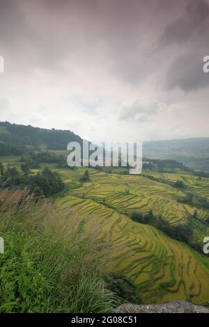 Fantastici campi di riso uno stile di agricoltura nella provincia di Yunnan Cina meridionale Foto Stock