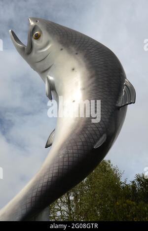 L'iconica statua della trota a Rakaia, Nuova Zelanda, accoglie i pescatori nel vicino fiume Rakaia Foto Stock