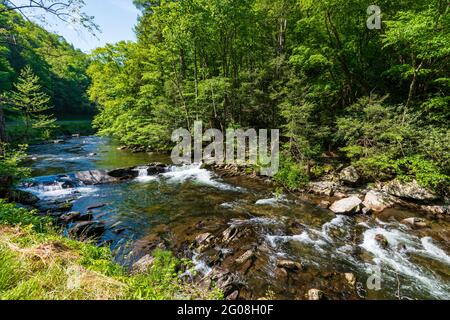 Fiume Pigeon nelle Great Smoky Mountains Foto Stock