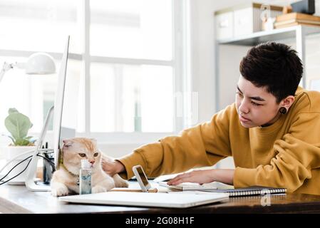 Giovane donna da ragazzo asiatica in abbigliamento casual che accarezza il suo gatto durante il lavoro da casa in tempo di pandemia Foto Stock