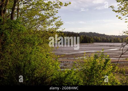 Shoreline Trail, Port Moody, Greater Vancouver, British Columbia, Canada Foto Stock