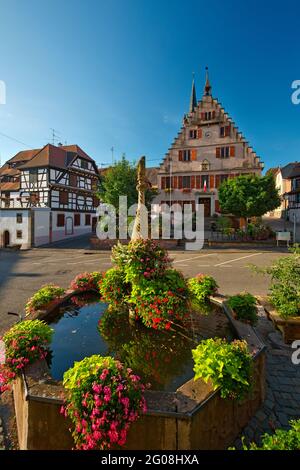 FRANCIA, BAS-RHIN (67), DAMBACH-LA-VILLE, PLACE DU MARCHE, FONTANA DELL'ORSO E MUNICIPIO Foto Stock