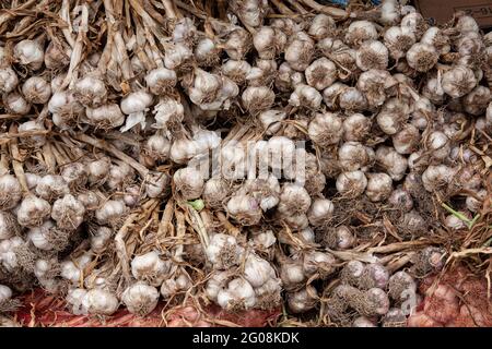 L'aglio sbucciato si accatastava. Foto Stock