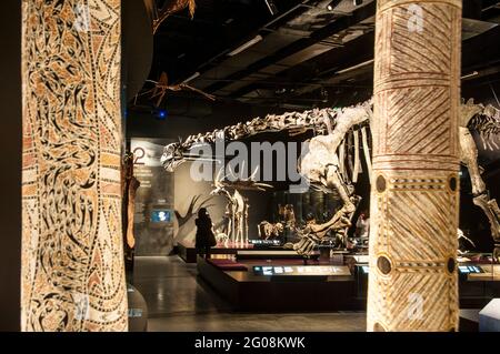 FRANCIA. RHONE (69). LIONE. MUSEO CONFLUENZE ( STUDIO ARCHITETTONICO: COOP HIMMELB(L)AU ) Foto Stock