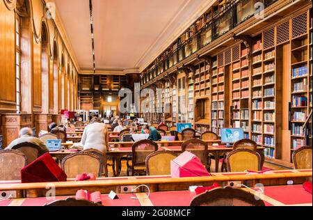 FRANCIA. PARIGI (2° DISTRETTO). BIBLIOTECA NAZIONALE DI FRANCIA (BNF). SITO RICHELIEU. SALA DI LETTURA DEI MANOSCRITTI (2016. SPAZI RINNOVATI DA VIRGINIE BR Foto Stock