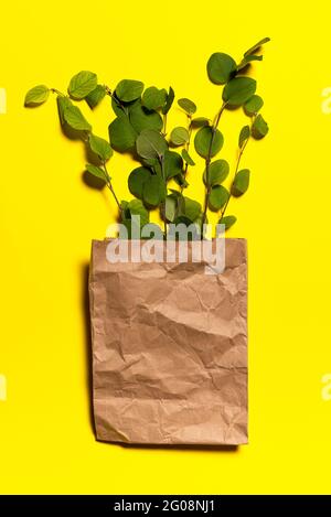 Marrone usato briciolato shopping bag fatto di carta riciclata e mazzo di rami di albero verde su sfondo di carta giallo. Le foglie hanno punti naturali e scr Foto Stock