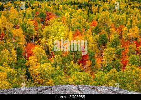 Colori autunnali su Carlton Peak nel nord del Minnesota, Stati Uniti Foto Stock