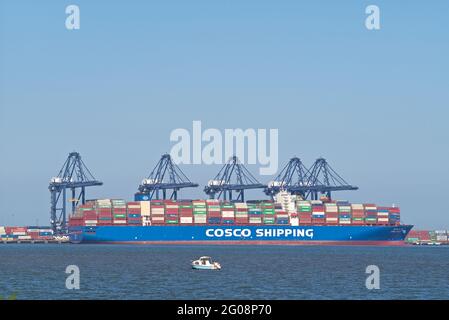 Nave-container CSCL Star attraccata al porto di Felixstowe, Suffolk, Regno Unito. Foto Stock