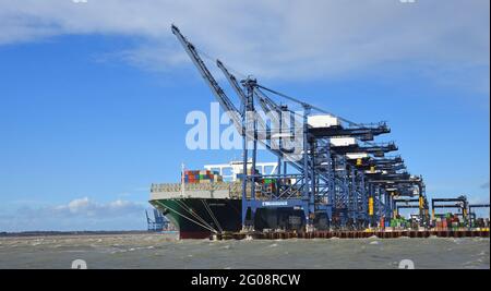 Grande contenitore nave 'mai dato' che è caricato al porto di Felixstowe. Foto Stock