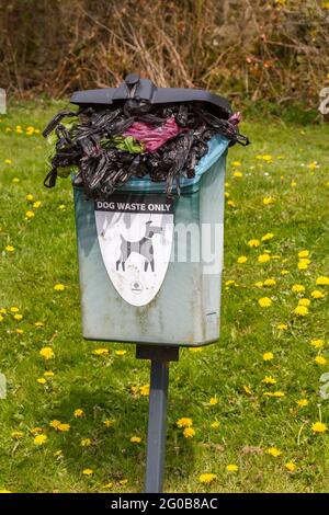 Un contenitore di rifiuti di cane traboccante Foto Stock