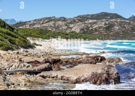 Spiaggia di Saleccia, Corsica, Francia Foto Stock