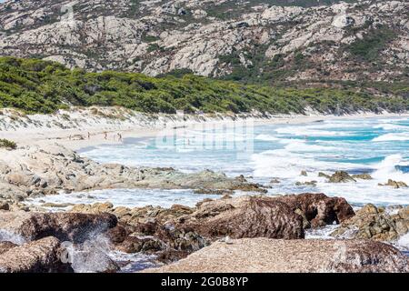 Spiaggia di Saleccia, Corsica, Francia Foto Stock