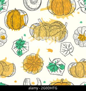 Modello senza cuciture con zucca, vettore. Modello autunno stagionale con schizzi di varie zucche. Sfondo autunno per il giorno del Ringraziamento. Illustrazione Vettoriale