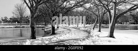 Foto in bianco e nero un albero innevato, percorso sgombrato per camminare tra i due laghi di Argyle Park nel villaggio di Babilonia. Foto Stock