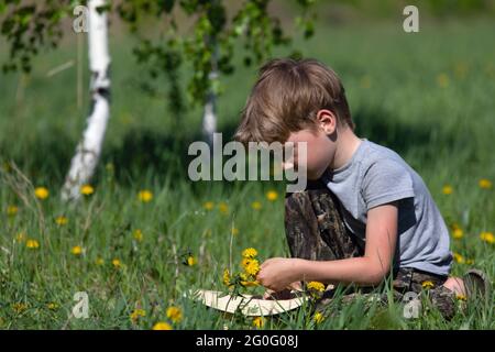 ragazzo raccogliere e mettere fiori di dente di leone nel suo cappello in prato. Vuole dare un bouquet come dono a sua madre o ragazza. Foto Stock