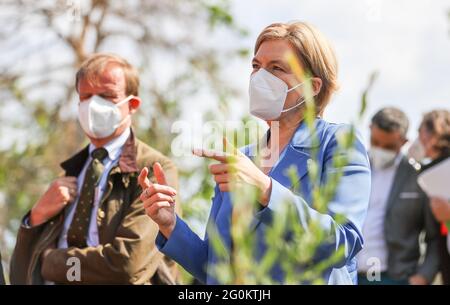 02 giugno 2021, Sassonia-Anhalt, Oranienbaum-Wörlitz: Julia Klöckner (CDU), Ministro federale dell'alimentazione e dell'agricoltura, parla prima del secondo vertice nazionale delle foreste in una zona boschiva fortemente danneggiata. Le foreste tedesche si trovano in uno stato peggiore di quanto non lo siano da decenni. Questo è il risultato della nuova relazione sulle condizioni delle foreste Klöckner, presentata al vertice delle foreste. Ora si introdurà un programma di finanziamento per premiare i proprietari di foreste per la protezione del clima. Foto: Jan Woitas/dpa-Zentralbild/dpa Foto Stock