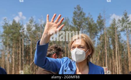 02 giugno 2021, Sassonia-Anhalt, Oranienbaum-Wörlitz: Julia Klöckner (CDU), Ministro federale dell'alimentazione e dell'agricoltura, si trova in una zona forestale fortemente danneggiata prima del secondo vertice nazionale delle foreste e delle onde. Le foreste tedesche si trovano in uno stato peggiore di quanto non lo siano da decenni. Questo è il risultato della nuova relazione sulle condizioni delle foreste Klöckner, presentata al vertice delle foreste. Ora è previsto un programma di finanziamento per premiare i proprietari di foreste per la protezione del clima. Foto: Jan Woitas/dpa-Zentralbild/dpa Foto Stock