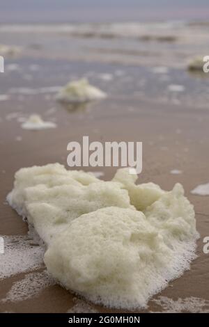 Spiaggia nei Paesi Bassi con bolle d'aria Foto Stock