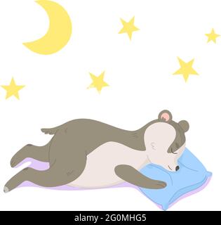 Carino piccolo badger dormire sul cuscino. Sogno, animazione boschiva, disegno bambini, concetto di nurcery. Può essere utilizzato come poster per bambini. Illustrazione vettoriale stock Illustrazione Vettoriale