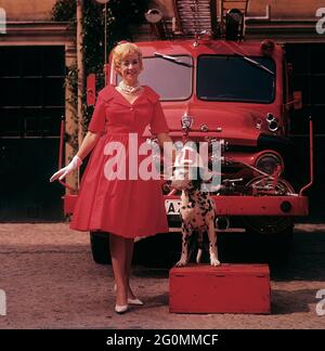 Alla moda negli anni '50. Una giovane donna in un abito rosso, guanti bianchi e scarpe bianche è in piedi di fronte a un camion da fuoco Ford insieme a un cane dalmata con un casco capo fuoco americano. Il dalmatier è tradizionalmente una mascotte della brigata del fuoco. Svezia 1958 rif CV68-5 Foto Stock