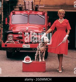 Alla moda negli anni '50. Una giovane donna in un abito rosso, guanti bianchi e scarpe bianche è in piedi di fronte a un camion da fuoco Ford insieme a un cane dalmata con un casco capo fuoco americano. Il dalmatier è tradizionalmente una mascotte della brigata del fuoco. Svezia 1958 rif CV68-6 Foto Stock