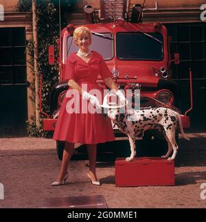 Alla moda negli anni '50. Una giovane donna in un abito rosso, guanti bianchi e scarpe bianche è in piedi di fronte a un camion da fuoco Ford insieme a un cane dalmata con un casco capo fuoco americano. Il dalmatier è tradizionalmente una mascotte della brigata del fuoco. Svezia 1958 rif CV68-1 Foto Stock