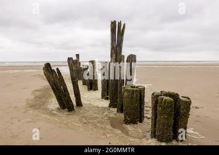 Spiaggia nei Paesi Bassi con bolle d'aria Foto Stock