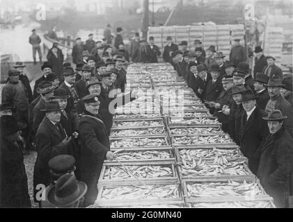 Goteborg negli anni trenta. Il mercato del pesce usuale ed è compratori all'asta quotidiana si è spostato fuori del deposito usuale a causa della quantità di pesce che è venduta. Una quantità di pesce recordbreaking in scatole sono pronti per essere venduti. Svezia 1936 Foto Stock