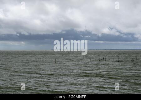 Tipico paesaggio del mare di Wadden nel nord dei Paesi Bassi vicino a Den Oever con l'oceano ventoso e un cielo torbido espressivo Foto Stock