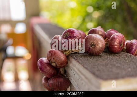 Pacchetto di cipolle rosse sul balcone Foto Stock
