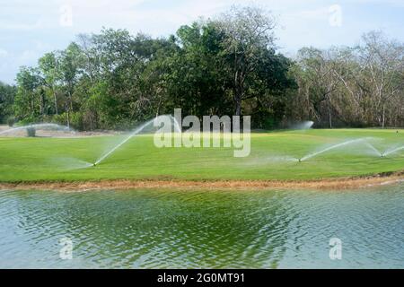 Un impianto sprinkler attivo su un campo da golf verde. Sullo sfondo di alberi tropicali a Playa del Carmen, Messico Foto Stock
