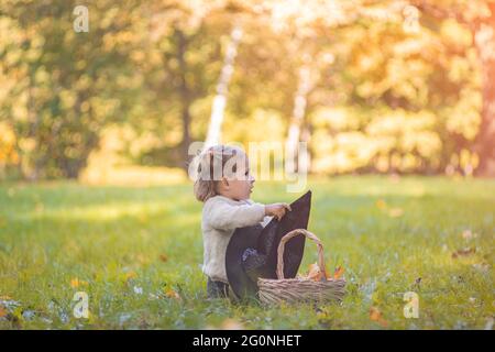 concept autunnale. ragazza con un cesto di foglie autunnali e un cappello di strega sul prato in un parco autunnale in una giornata di sole. Foto Stock