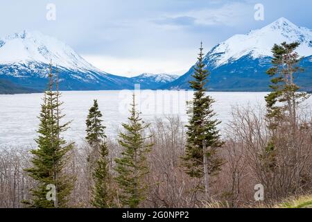 Lago Tutshi con alberi sempreverdi e montagne innevate nella British Columbia, Canada Foto Stock