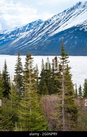 Lago Tutshi con alberi sempreverdi e montagne innevate nella British Columbia, Canada Foto Stock