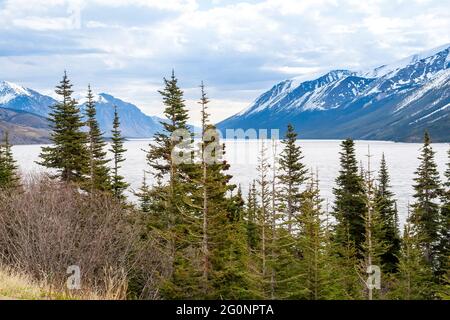 Lago Tutshi con alberi sempreverdi e montagne innevate nella British Columbia, Canada Foto Stock