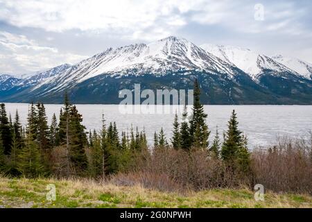 Lago Tutshi con alberi sempreverdi e montagne innevate nella British Columbia, Canada Foto Stock